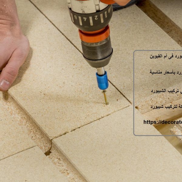 شركة شيبورد فى أم القيوين